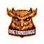 Logo MetanoiaGG